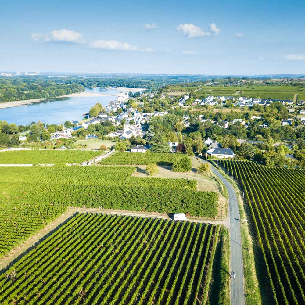 Camping dans les vignes à Montsoreau