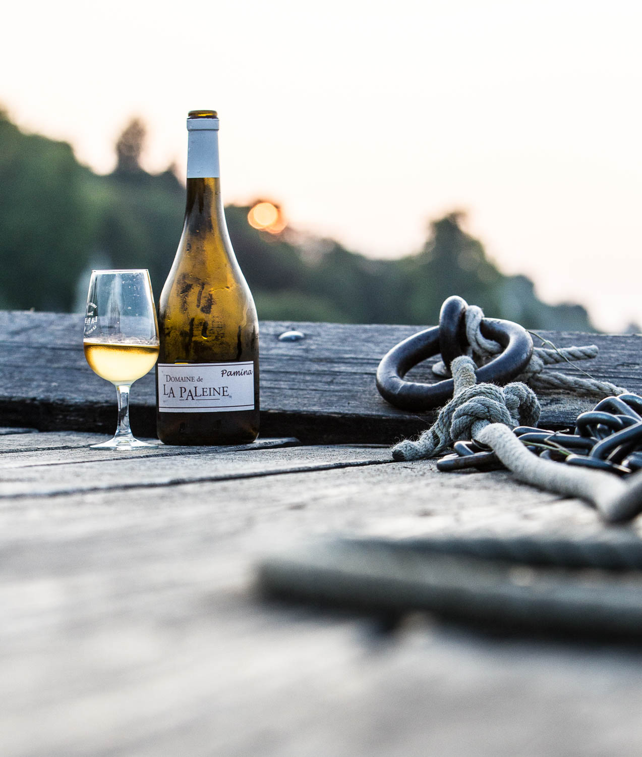 Camping Saumur avec dégustation de vins