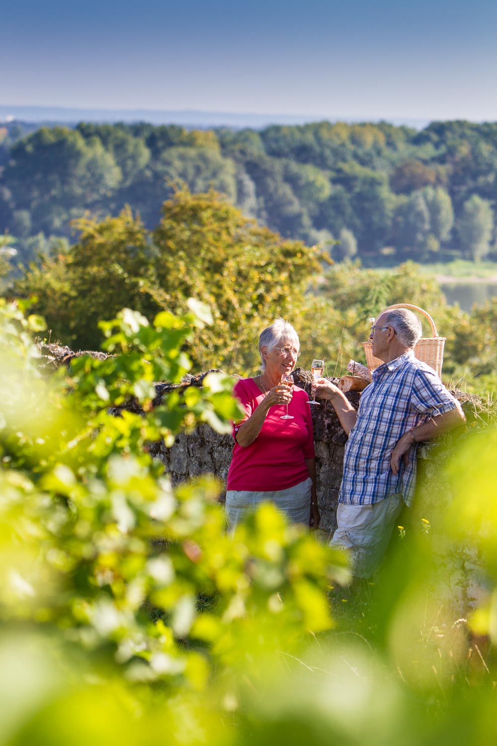 Camping Saumur avec dégustation de vins