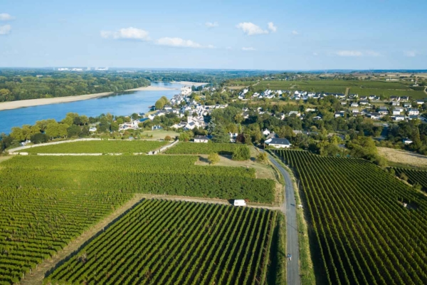 Camping Saumur avec dégustation de vins