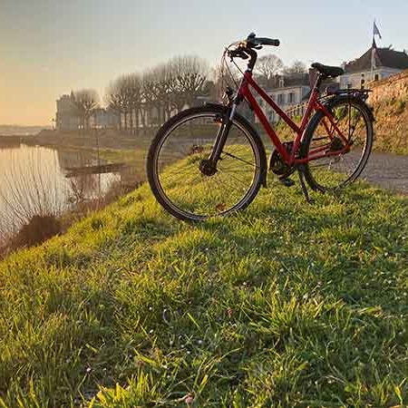 Location de vélo à Montsoreau